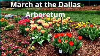 March at the Dallas Arboretum and Botanical Garden