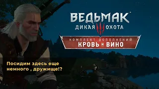 Душевный разговор с Регисом (Ведьмак 3 Крови и Вино)