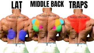 TOP 15  LAT MIDDLE BACK TRAPS WORKOUT WITH DUMBBELLS  CABLE AND MACHINE  AT GYM