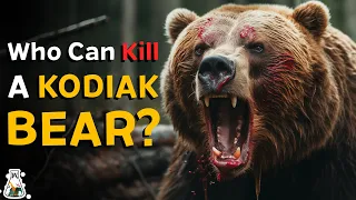 6 Animals That Could Defeat a Kodiak Bear