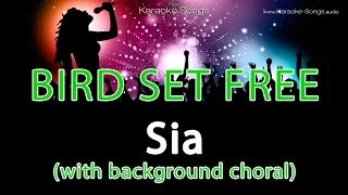 Sia 'Bird Set Free' Instrumental Karaoke Version with background choral and lyrics