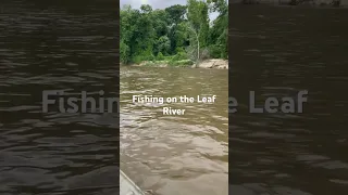 Leaf River Fishing #KayakFishing #RevereFishing #GarminFishing #13Fishing #BassFishing