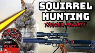 7.62mm Pellet Tracers (Squirrel Hunting)