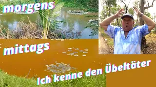 Mein Teich ist verseucht. Ich kenne jetzt den Verursacher. Was aber hilft gegen diesen Feind??