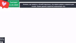 Природні угрупування. Ліс 3 клас Я досліджую світ 1 частина