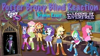 PotterBrony Blind Reaction MLP Fanwork Bronies React Equestria Girls Legend of Everfree