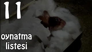 Zor Hedef Fare Türkçe Dublaj 100 Like? Full Film 11.Kısım Son (Mouse Hunt)