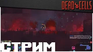 [Альфа 1.2.4  5BC] И все же, как не умирать в мили-билдах?  Dead Cells