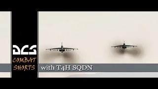 DCS: CombatShorts - SU25T's take on a S300