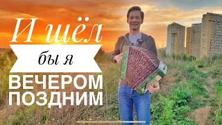 И ШЁЛ БЫ Я ВЕЧЕРОМ ПОЗДНИМ || ВЕЧЕРНИЙ ЗАКАТ || КРАСИВАЯ ПЕСНЯ ПОД ГАРМОНЬ || ВЕЧЕРНИЕ ПРОГУЛКИ