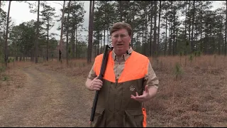 Governor's Quail Hunt 23' - Longleaf Plantation