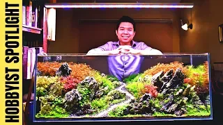 SINGAPORE PLANTED TANK LEGEND: Dennis Wong on Aquascaping Styles, Beginner Tips & MORE!