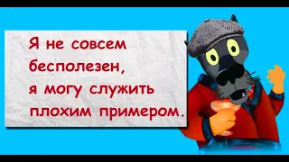 ✔️Я не совсем бесполезен, я могу быть плохим примером.  Анекдоты с Волком.#ВГостяхУВолка