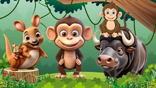 Cute Baby Monkeys - Buffalo, Bison, Wallaby, Duck - ANIMAL (BGM)