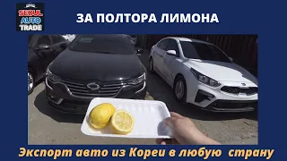 Авто из Кореи. Бюджетный сегмент. Авто за 1,5 млн. руб. KIA K3, RENAULT SAMSUNG SM6, HYUNDAI AVANTE