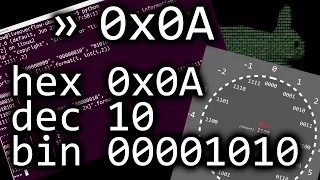 The deal with numbers: hexadecimal, binary and decimals - bin 0x0A