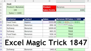 Filter Feature CANNOT run an OR Logical Test Across Two Columns: 2 Solutions. Excel Magic Trick 1847