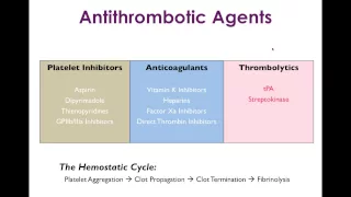 Cardiovascular Pharmacology Review: Mechanisms