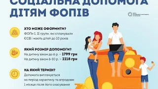 3 часть (помощь иностранцам за деньги пенсионеров). Помощь ФЛП с детьми в условиях карантина.