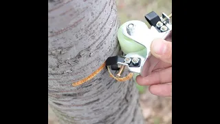 Tree Bark Ring Cutter Fruit Tree