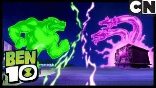 As Garras Da Gata | Ben 10 em Português Brasil | Cartoon Network