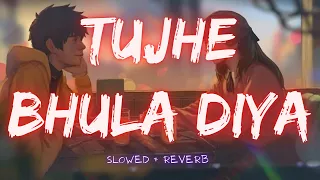 Tujhe Bhula Diya - Anjana Anjani | Slowed + Reverb | Bollywood LoFi Mix  | Viral Vibes @tseries