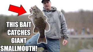 This Bait Catches Giant Early Spring Smallmouth Bass! Raystown Lake Bass Fishing Tournament!