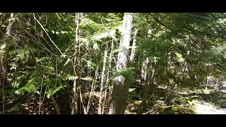 Sasquatch Interior B.C. " Teepee style structure in Shuswap"