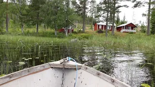 Off-grid in the Swedish forest