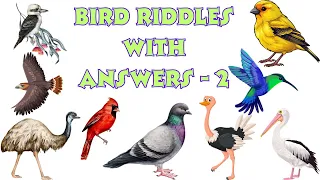 BIRD RIDDLES WITH ANSWERS - 2 #birdriddles #animalriddles