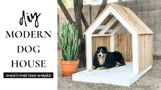 DIY Modern Dog House