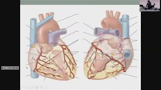 MUMUS Year-2 VIA Revision Lecture Cardiology
