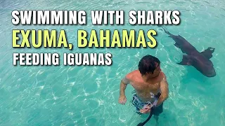 Swimming with Sharks in EXUMA, BAHAMAS and Feeding Iguanas!