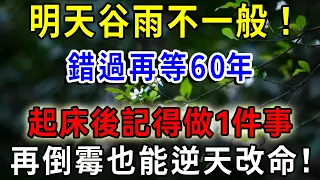 真的要來了！就在明天，3月初十谷雨不一般！起床記得做一件事，再倒霉也能逆天改命！龍年財運旺旺旺，錯過再等60年，趕緊告訴家裡人！|一禪語 #運勢 #風水 #佛教 #生肖 #佛語禪心