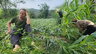 Sadness after the storm, my father and I worked together to overcome the consequences.