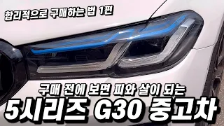 BMW 5시리즈 G30 중고차 구매 전에 보면 좋은 영상. F10/E클래스/수입차