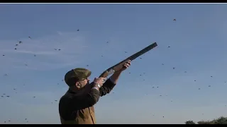 Classic Partridge Shooting at Wappenshall in Shropshire