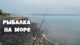 Рыбалка в Абхазии. Что ловится на море.