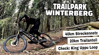 Trailpark Winterberg | Leichte Endurotrails die richtig Spaß machen | Leo Kast