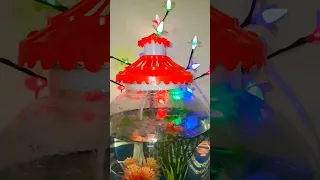 #my Aquarium#Sanu's new little One@15/02/2023 💖💐💖 #shortsvideo