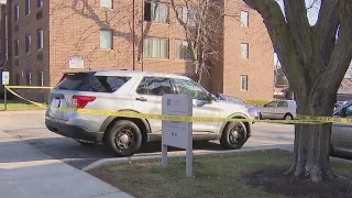 Suspect in deadly Chicago domestic attack had violent past