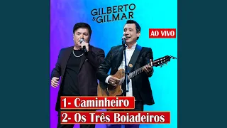 Caminheiro (Ao Vivo)