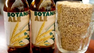 Making beer: barley breeding at Adelaide