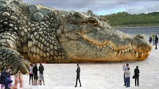 Terrifying Titans: Top 10 Biggest Animals in the World ever cought on camera