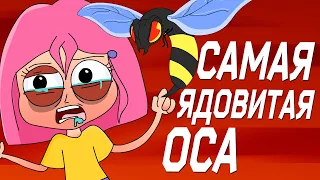 Меня ужалила самая ядовитая оса(Анимация)