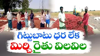 గిట్టుబాటు ధర లేక మిర్చి రైతు విలవిల | Mirchi Farmers Struggle | Anantapur District