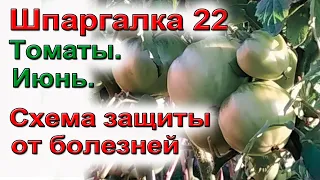 ШПАРГАЛКА 22. Томаты. Болезни. Схема обработки.