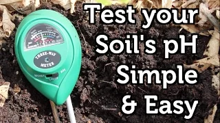 How to Measure your Soil pH Cheap and Easy