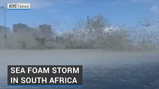 Sea foam storm in South Africa as winds cause havoc in Cape Town