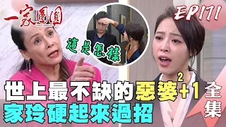 一家團圓 EP171 家玲又遇盧小小婆婆！查理爆打曹慶就是舒服～｜Family Reunion｜完整版｜【巧奇回熱衣】